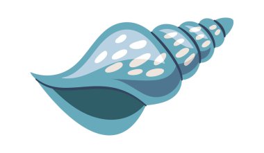 Deniz sarmalı deniz kabuğu egzotik akvaryum dekorasyon elementi