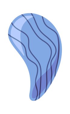 Mavi midye deniz kabuğu egzotik deniz elementi