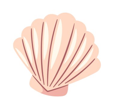 Estetik inci deniz kabuğu sualtı midye dekoratif elementi