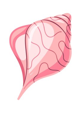 Deniz doğal kabuğunun sarmal şekli egzotik midye kabuğu