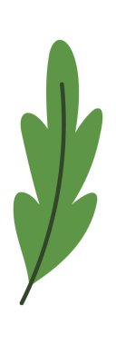 Kış tatili dekoratif yeşil yaprak elementi