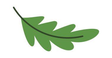 Noel tatili dekoratif yeşil yaprak