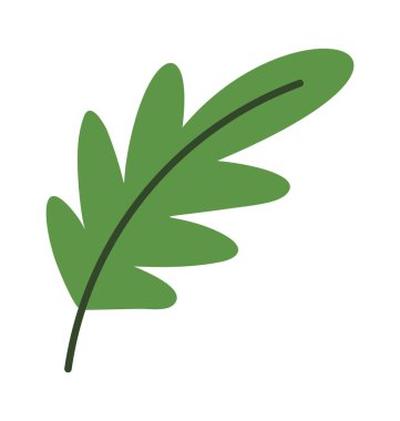 Yeşil yaprak, Noel, kutsal böğürtlen.