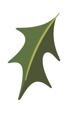 Ökseotu yaprağı Noel elementi doğal süsleme