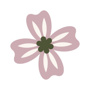 Sevimli, basit bir Noel çiçeği, çiçek açan festival elementi.