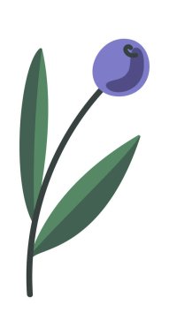 Süsleme için yaban mersini dalı Noel tatili unsuru