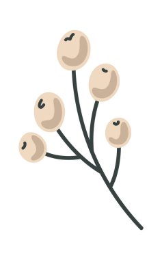 Beyaz böğürtlenler Noel dekoratif doğal elementleri