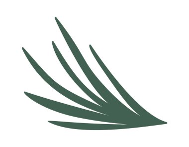 Yeşil ladin iğneleri Noel elementi dekoratif tasarımı