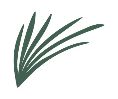 Bitkisel dekorasyon Noel mevsimsel doğa tasarımı