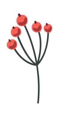 Kırmızı yaban mersini ağaç kökü Noel süsü