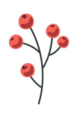 Noel süsleri için kırmızı böğürtlen unsuru