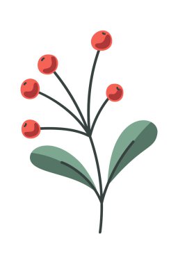 Doğal kırmızı böğürtlen Noel süsü