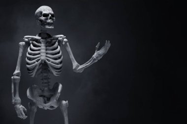 Koyu arka plan üzerinde insan iskeleti