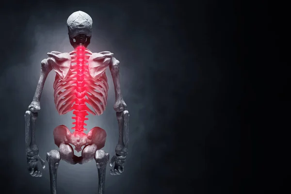 Menschliches Skelett Auf Dunklem Hintergrund — Stockfoto