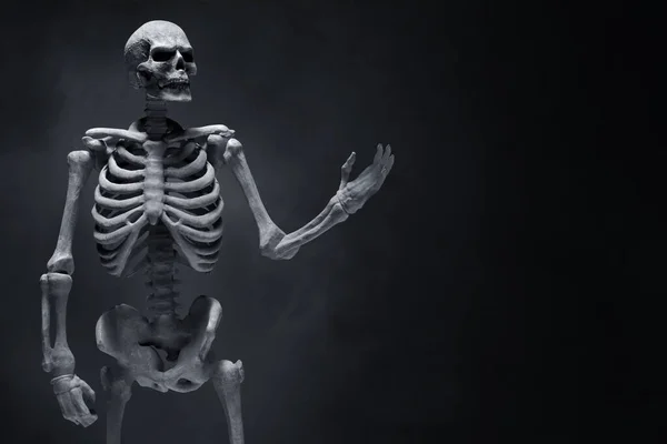 Squelette Humain Sur Fond Sombre — Photo
