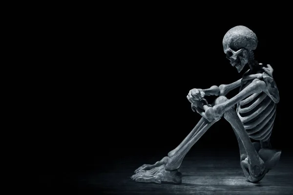 暗い背景に人間の骨格 — ストック写真