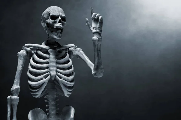 Menselijk Skelet Donkere Achtergrond — Stockfoto