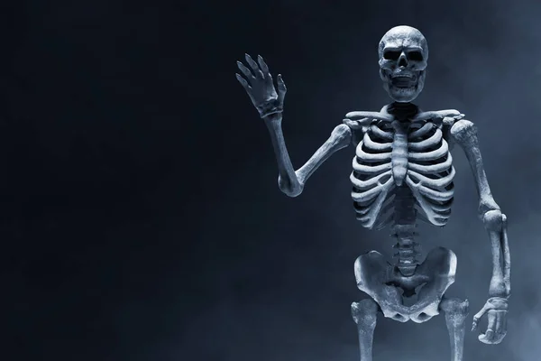 人类的骨骼在深色背景上 — 图库照片