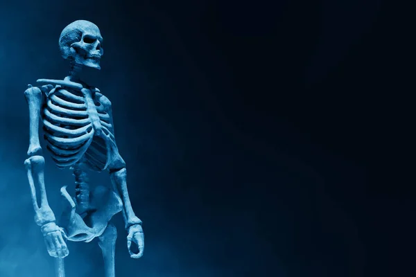 Esqueleto Humano Sobre Fondo Oscuro —  Fotos de Stock