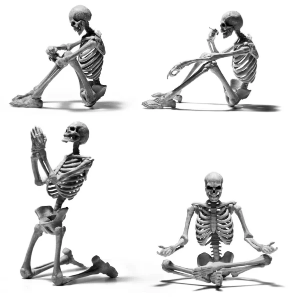 Set Van Menselijk Skelet Geïsoleerd Witte Achtergrond — Stockfoto