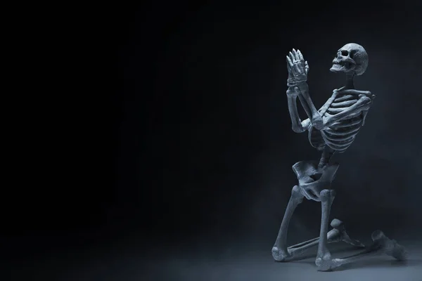 Ανθρώπινος Σκελετός Σκούρο Φόντο — Φωτογραφία Αρχείου
