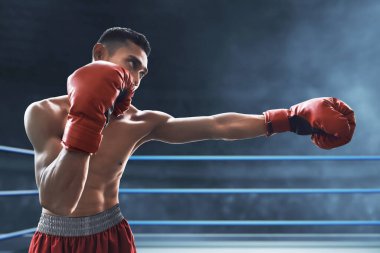 Ringde boksör, spor teması
