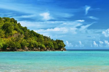 Güzel tropikal ada, doğa arkaplan