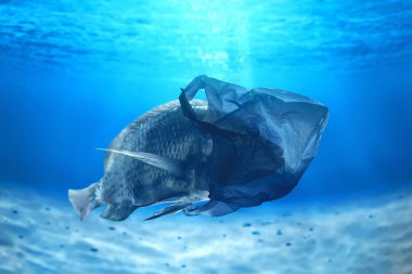 Plastik torbayla suyun altında dönen balıklar, kirlilik kavramı