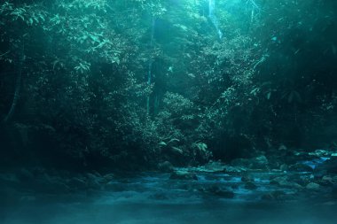 Karanlık orman sis dumanı, Cadılar Bayramı teması