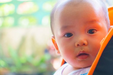 Yeşilliklerle çevrili, taşıyıcıda oturan, büyük gözlü meraklı bir bebek. yumuşak ışıklandırma bebek özelliklerini geliştirir, sıcak ve davetkar atmosfer yaratır.