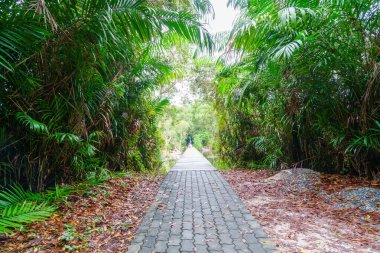 Bereketli yeşilliklerin arasından geçen sakin bir patika huzurlu bir yere götürür.