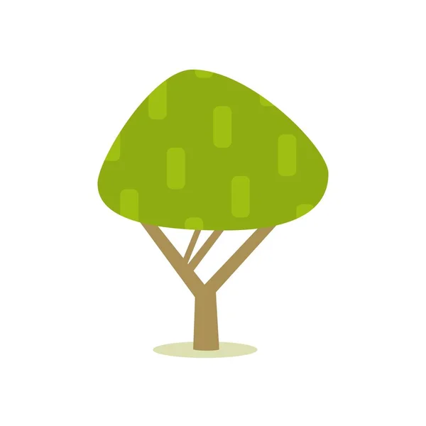 Pohon Maple Dengan Mahkota Berbentuk Segitiga Bantalan Ilustrasi Vektor - Stok Vektor
