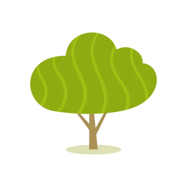 Υποτροπικό Δέντρο Εκκολαπτόμενο Στέμμα Φυλλώματος Εικονογράφηση Διανύσματος — Διανυσματικό Αρχείο