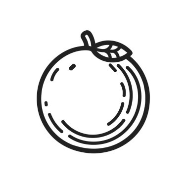 Üzerinde yaprak olan bir portakalın siyah beyaz çizimi. Meyveye ve doğal güzelliğine odaklanarak çizim basit ve temiz. Siyahın kullanımı