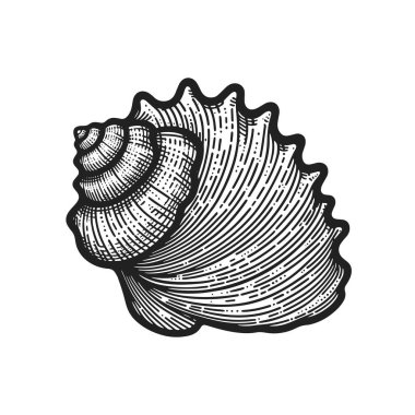 Siyah beyaz bir kabuk çizilir. Kabuk, kabuktaki spiral desen de dahil olmak üzere birçok detayla çizilmiş. Kabuk, onu kağıttan yapılmış gibi gösterecek şekilde çizilmiş.