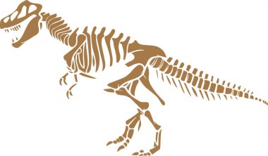 Beyaz arkaplanda izole edilmiş dinozor iskeleti fosil vektör simgesi