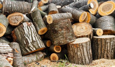 Büyük bir odun yığını.