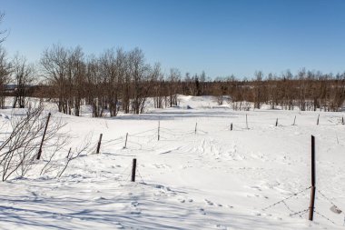 Eriyen kar, parlak bahar güneşi, buz saçakları, açık yollar, Kirovsk Murmansk bölgesi Hibiny