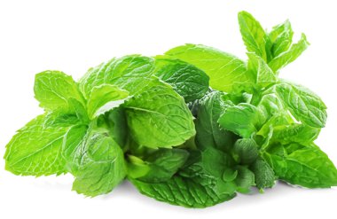 Nane yaprağı izole edilmiş. Beyaz arkaplanda taze nane