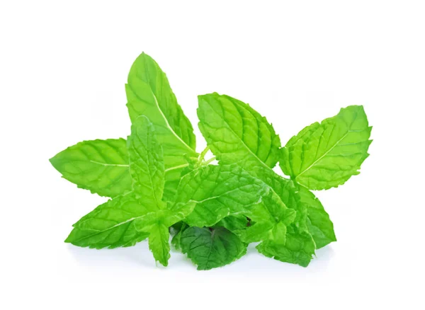 Mint Leaf Isolated Fresh Mint White Background — Stock Photo, Image