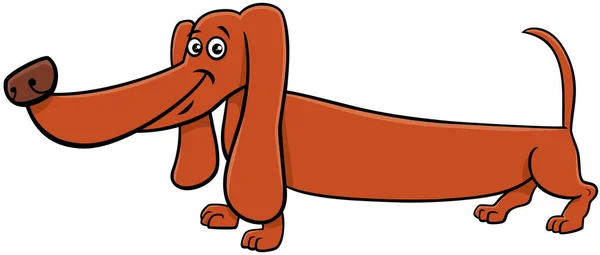 Ilustracja Kreskówki Zabawny Rasowy Jamnik Pies Komiks Zwierzę Charakter — Wektor stockowy
