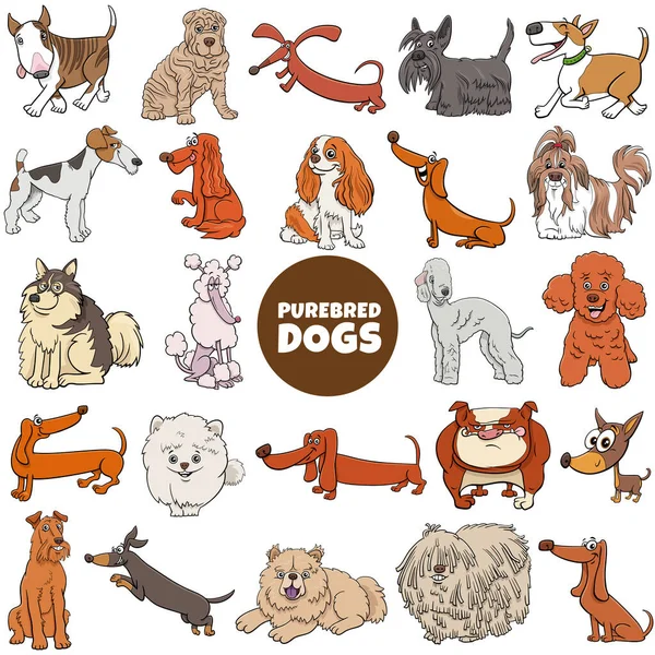 Γελοιογραφία Απεικόνιση Των Καθαρόαιμων Σκύλων Ζώων Χαρακτήρες Μεγάλο Σύνολο — Διανυσματικό Αρχείο