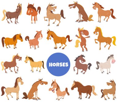 Cartoon illustration of funny horses and ponies farm animal characters big set