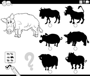 Black and white cartoon illustration of finding the right picture to the shadow educational game with wild boar animal character coloring page