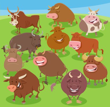 Cartoon illustration of funny bulls farm animal characters group