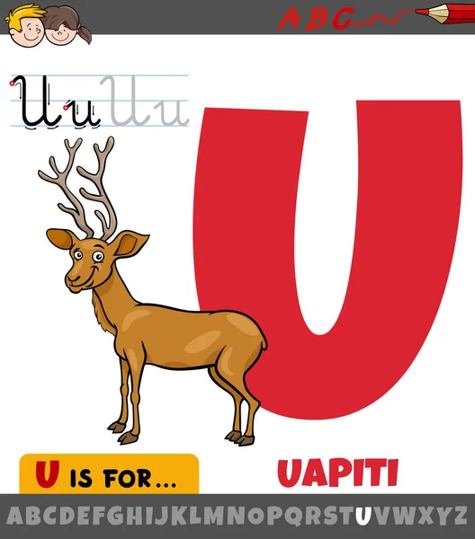 Vzdělávací Kreslený Obrázek Písmene Abecedy Zvířecím Znakem Uapiti — Stockový vektor