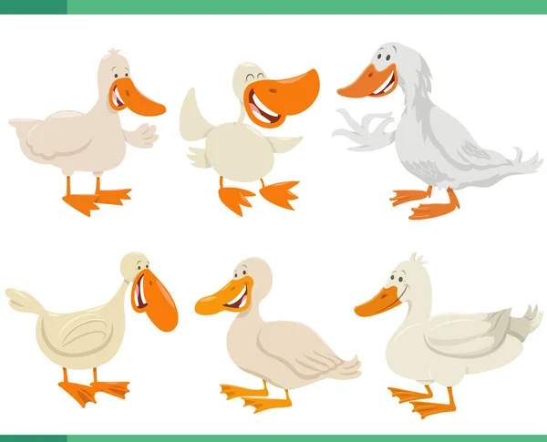 Zeichentrick Illustration Von Lustigen Enten Bauernhof Tiere Comic Figuren Gesetzt — Stockvektor