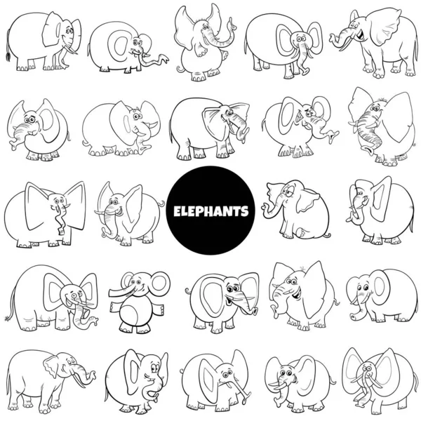 Svart Och Vitt Tecknad Illustration Elefanter Roliga Djur Tecken Stora — Stock vektor