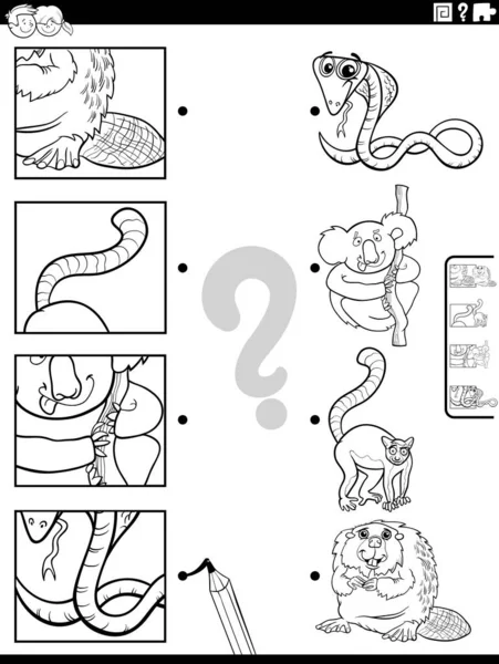 動物の文字や写真と教育マッチングゲームの黒と白の漫画のイラストぬり絵のページ — ストックベクタ