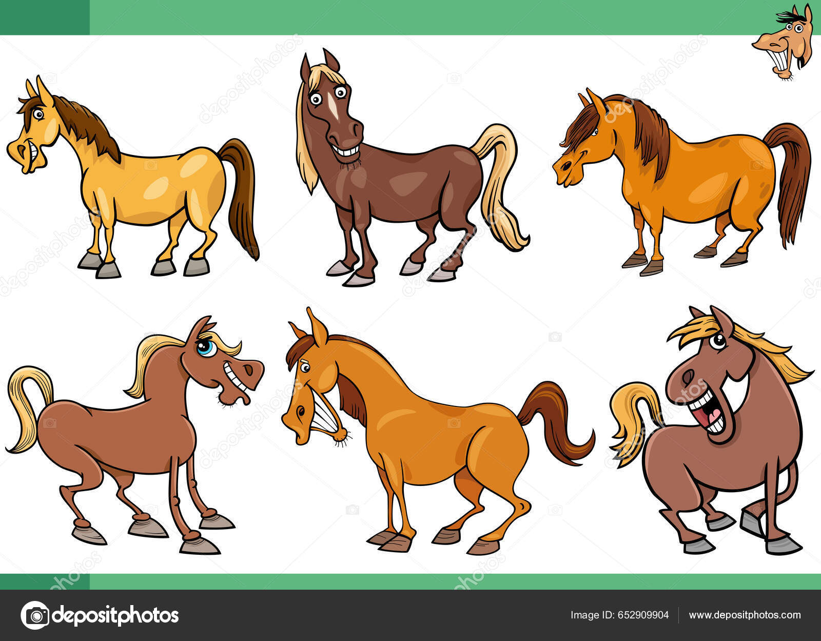 Conjunto Cavalos